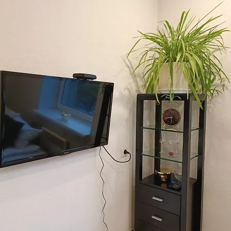 Center Cozy Studio *