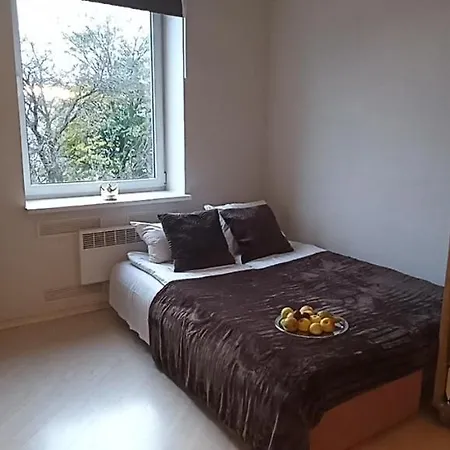 Center Cozy Studio Apartment *