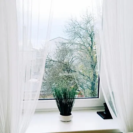Center Cozy Studio