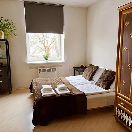 Center Cozy Studio
